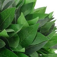 vidaXL Künstliche Pflanze Lorbeerbaum mit Topf Grün 70 cm Mehrfarbig