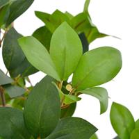 vidaXL Künstliche Pflanze Lorbeerbaum mit Topf Grün 90 cm Mehrfarbig