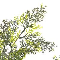vidaXL Künstliche Pflanze Zypresse mit Topf Grün 150 cm Mehrfarbig