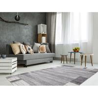 Home24 vloerkleed 120 x 170 Zilver