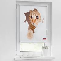 Lichtblick Rollo Klemmfix, ohne Bohren, Verdunkelung, Katze - Weiß Braun, 70 x 150 cm (B L)