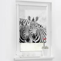 Lichtblick Rollo Klemmfix, ohne Bohren, blickdicht, Zebra - Schwarz Weiß, 70 x 150 cm (B L)