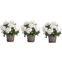 Bellatio 3x Kunstplanten witte Hortensia in mand 45 cm Wit