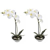 2x Kunstplanten witte orchidee/Phalaenopsis in pot 38 cm Multi