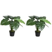 Shoppartners 2x Groene Colocasia/taro kunstplant 52 cm in zwarte pot Groen
