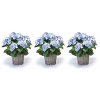 Bellatio 3x Blauwe Hortensia kunstplanten in mand 45 cm Groen