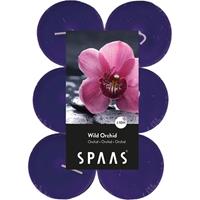 Candles by Spaas 12x Maxi geurtheelichtjes Wild Orchid/paars 10 branduren Paars