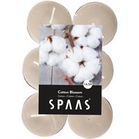 Candles by Spaas 12x Geurtheelichtjes Cotton Blossom/wit 4,5 branduren Wit