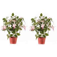 Bellatio 2x Lichtroze fuchsiaplant kunstplanten 30 cm voor binnen Groen