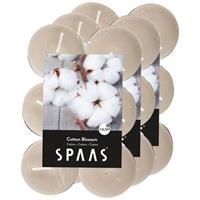 Candles by Spaas 36x Geurtheelichtjes Cotton Blossom/wit 4,5 branduren Wit