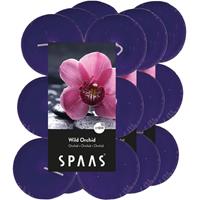 Candles by Spaas 36x Maxi geurtheelichtjes Wild Orchid/paars 10 branduren Paars