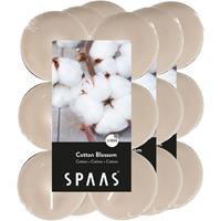 Candles by Spaas 36x Maxi geurtheelichtjes Cotton Blossom/beige 10 branduren Rood