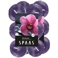 Candles by Spaas 24x Geurtheelichtjes Wild Orchid/paars 4,5 branduren Paars