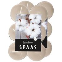 Candles by Spaas 24x Geurtheelichtjes Cotton Blossom/wit 4,5 branduren Wit