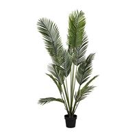 Xenos Palm kunstplant - 180 cm