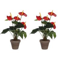 2x Kunstplanten Anthurium rood in grijze pot 40 cm Rood