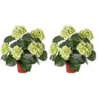 2x Groene Hydrangea/hortensia kunstplanten 40 cm Multi