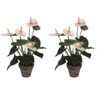 2x Kunstplanten Anthurium licht roze in grijze pot 40 cm Roze