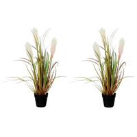 Mica Decorations 2x Riet gras/pluimgras kunstplanten in zwarte pot 53 cm Groen