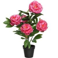 Shoppartners Roze Paeonia/pioenrozen struik kunstplant 57 cm in pot Roze