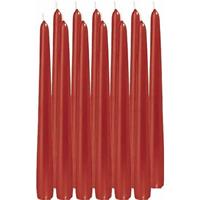 Trend Candles 12x Rode dinerkaarsen 25 cm 8 branduren Rood
