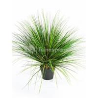 plantenwinkel.nl Kunstplant Grass onion M