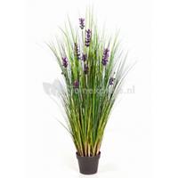 plantenwinkel.nl Kunstplant Lavender grass M