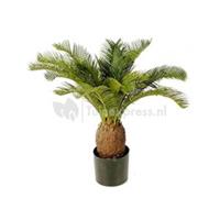plantenwinkel.nl Kunstplant Cycas palm M