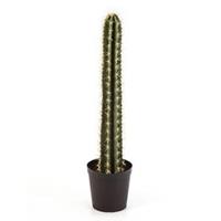 plantenwinkel.nl Kunstplant Cactus straight M