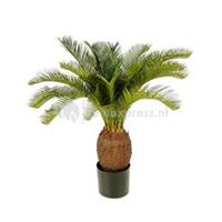 plantenwinkel.nl Kunstplant Cycas palm L
