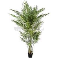 plantenwinkel.nl Kunstplant Areca palm XL