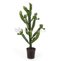 plantenwinkel.nl Kunstplant Euphorbia cactus XL