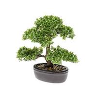 Emerald Kunstpflanze Bonsai Mini-Ficus  Grün
