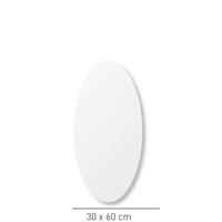 INK SP16 spiegel 60x30x3cm ovaal op alu kader 8402015