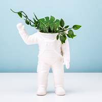 Bitten Astronaut bloempot - Klein