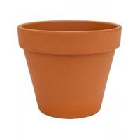 plantenwinkel.nl Terracotta bloempot 15 cm