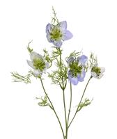maxifleur Künstliche Nigella Zweig 55 cm blau