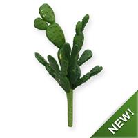 Mini Cactus Boeket 20 cm