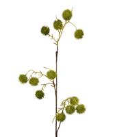 maxifleur Künstliche Disteln Zweig 85 cm grün