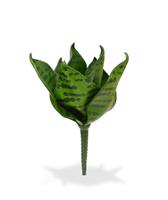 maxifleur Sansevieria Kunstpflanze grün (Bogenhanf) - Bukett 20 cm
