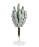 Euphorbia kunst Cactus 25cm - grijs