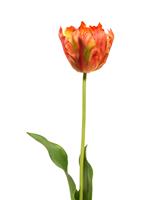 maxifleur Künstliche van Gogh Tulpe Blume 70 cm orange
