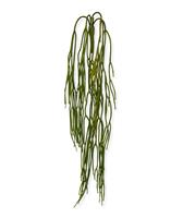 maxifleur Rhipsalis Pilocarpa künstliche Hängepflanze 65 cm