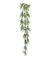 maxifleur Rhipsalis Heteroclada künstliche Hängepflanze 75 cm