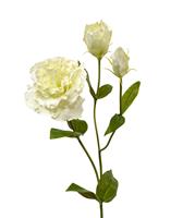 maxifleur Künstliche Lisianthus Stengel-Blume 80 cm creme