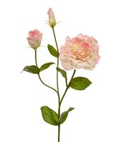 Lisianthus kunst steelbloem 80 roze