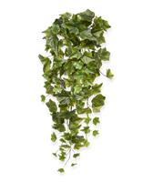 Hedera kunst hangplant 65cm - groen