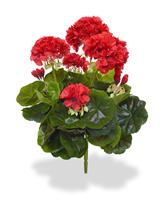 Geranium kunstplant 40cm - rood