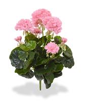 maxifleur Geranien Kunstpflanze Bukett 40 cm rosa