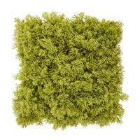 maxifleur Künstliche Rentier Moos Matte 25x25 cm frisches grün
